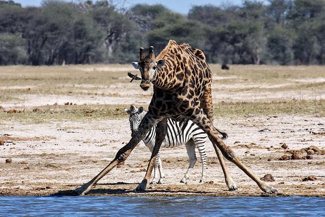 Full Day Hwange Day Trip - Returning to Victoria Falls after 17:30