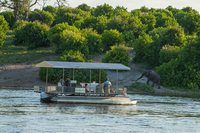 Full-Day Safari Chobe National Park and boat safari - Why Chobe works so well as a day trip from Victoria Falls