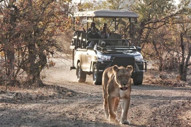 Full-Day Zimbabwe Zambezi National Park Safari & Lunch - Chamabondo Vlei adds a second setting
