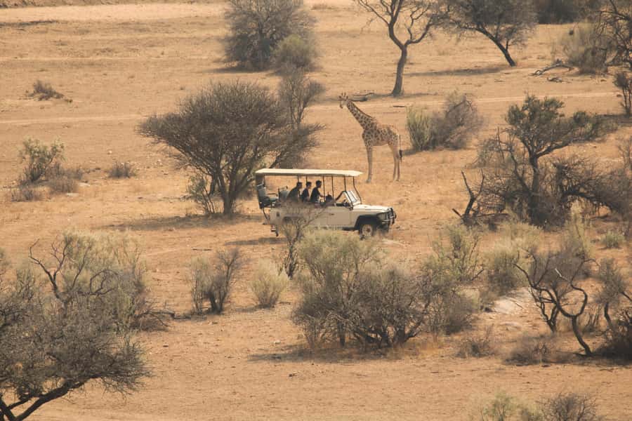 Game drive in Victoria Falls - Three hours between river and bush