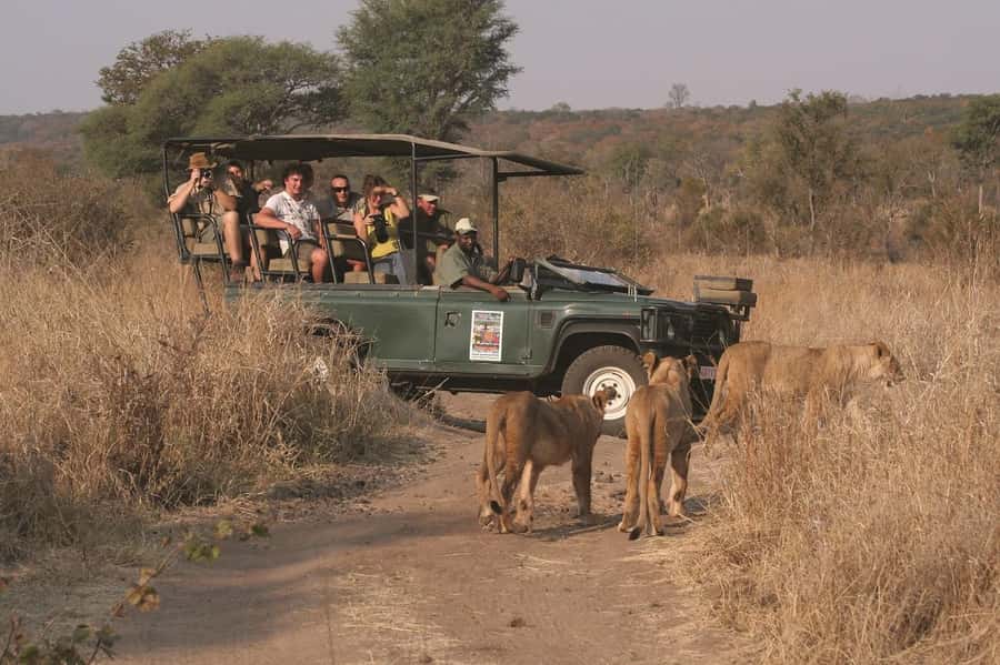 Game drive in Victoria Falls - Why the guide can make or break the outing
