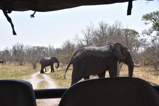 Game Drives - What the three-hour drive is like