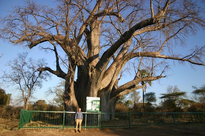 Guided 4x4 Town Safari in Victoria Falls - Who will get the most from this town safari?