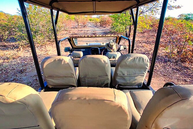 Guided 4x4 Town Safari in Victoria Falls - Practical details before you reserve