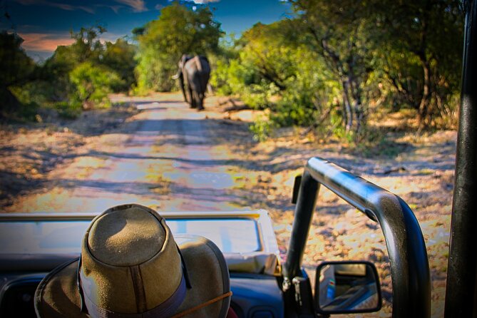 Guided 4x4 Town Safari in Victoria Falls - What the open-sided safari jeep adds