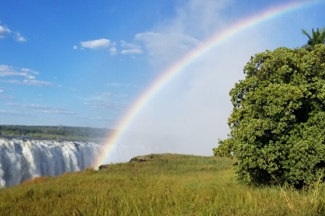 Guided Falls Tour & Zambezi River Cruise Combo - The Zambezi cruise begins near the airport
