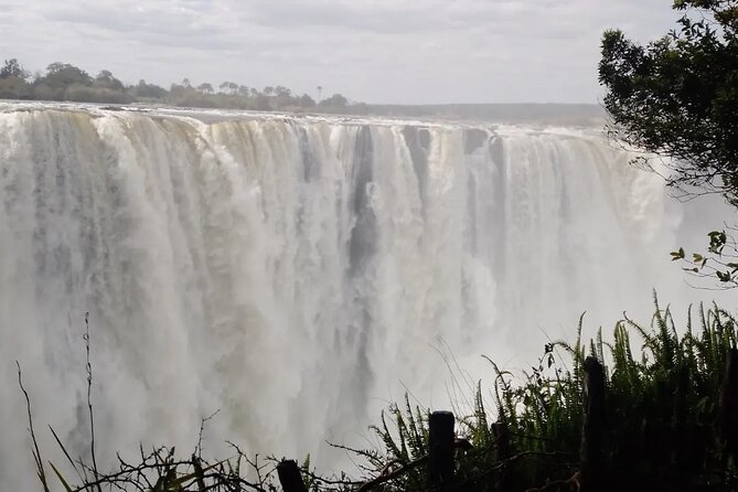 Guided Tour of the Falls - What the $35 price really covers