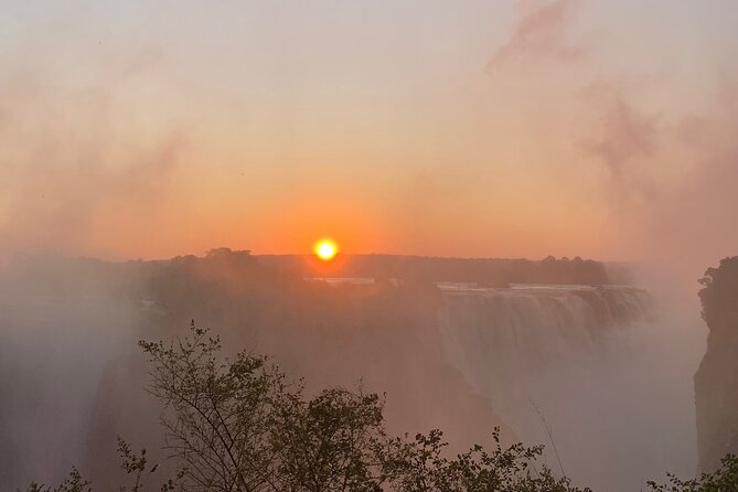 Guided Tour of the Falls Rainforest - Key points to know before you book