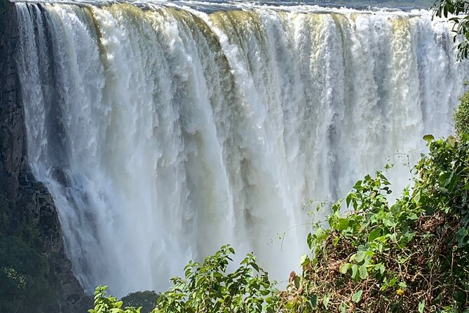 Guided Tour of the Falls Rainforest - From your hotel to Mosi-oa-Tunya National Park