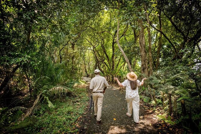 Guided Tour of the Falls Rainforest - A two to three-hour tour of the falls