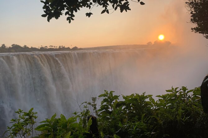 Guided Tour of the Falls Rainforest - Is $25 good value?