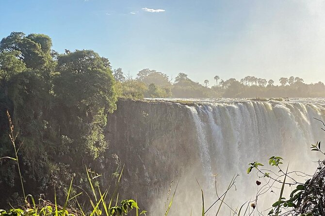 Guided Tour of the Falls Rainforest - Practical details for a smoother visit