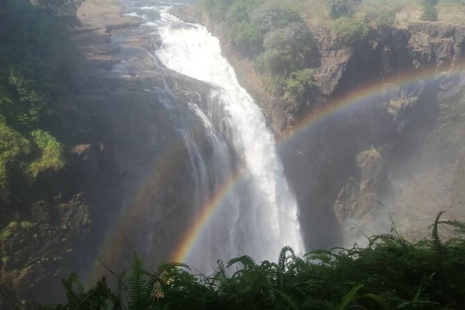 Guided Tour of the Falls (Zimbabwe side) - What Mr B adds to the experience