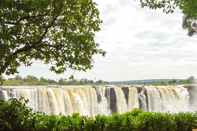Guided Tour of the Falls (Zimbabwe side) - Is $24 good value?