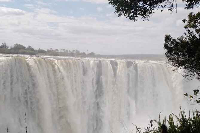 Guided Tour of the Falls - Three hours around the falls, bridge, and park