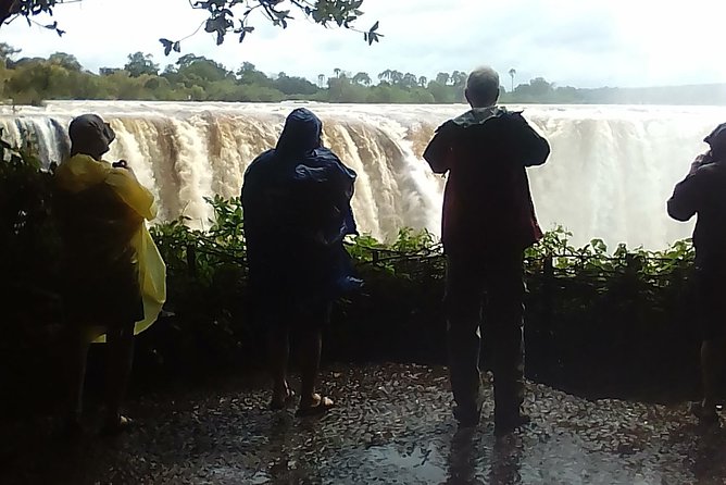 Guided Tour Of the Victoria Falls Zimbabwe - Starting at the Big Tree