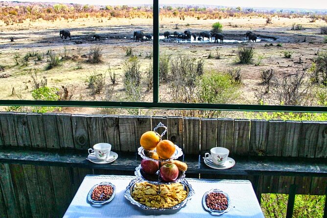 High Tea in the Savannah, Catering by Victoria Falls Hotel - Key points to know