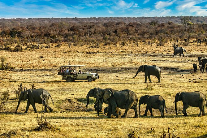 High Tea in the Savannah, Catering by Victoria Falls Hotel - The Sunset Drive Back