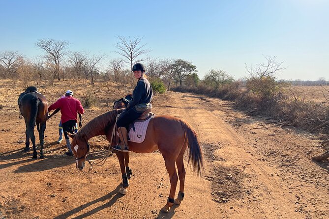 Horse Riding Community Village Tour Experience - What the pace tells you about the ride