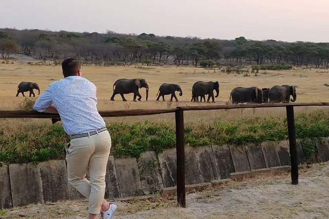 Hwange 3 day Safari - Why three days makes sense in Hwange