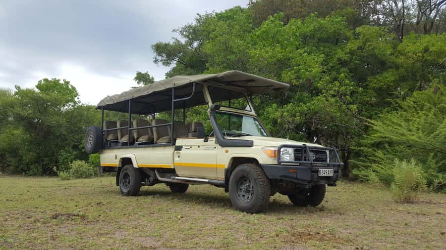 Hwange Big 5 Wildlife Safari – Day Trip from Victoria Falls - Seven hours inside Hwange National Park