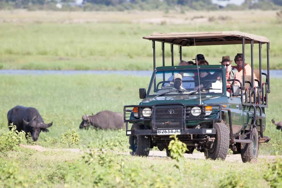Hwange Big 5 Wildlife Safari – Day Trip from Victoria Falls - How the season changes your chances
