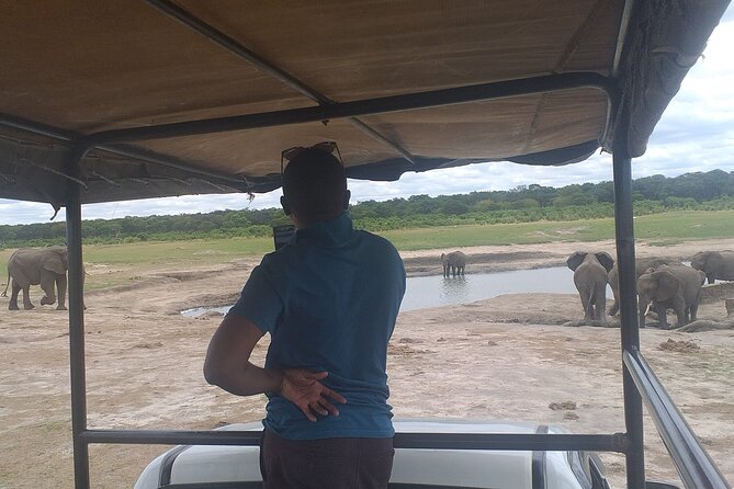 Hwange National Park Full Day Trip - How the small-group format affects the day