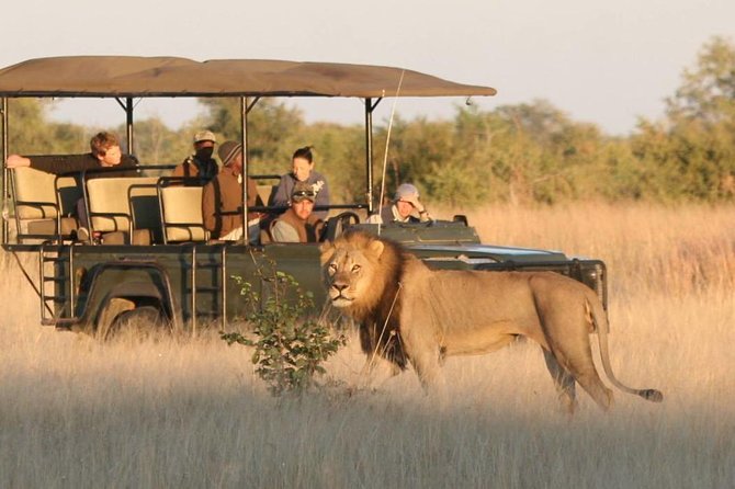 Hwange (Safari) Day Trip from Victoria Falls - Why Hwange makes sense from Victoria Falls