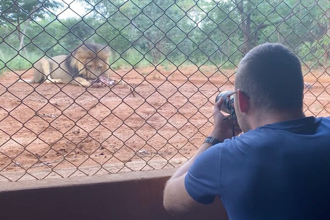 Lion & Wildlife Sanctuary Excursion Victoria Falls - Why the guide matters