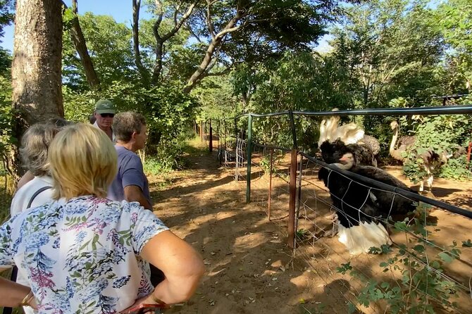 Lion & Wildlife Sanctuary Excursion Victoria Falls - Who should book this experience?