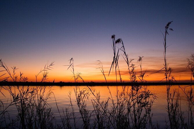 Luxury Sunset River Cruise on the Zambezi - Hors doeuvres and a full drinks selection