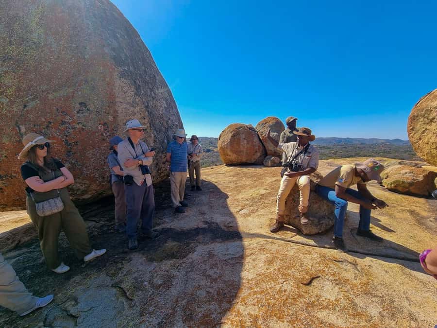 Matobo Hills Day Trip with Rhino Tracking - Why the rhino walk is the main event