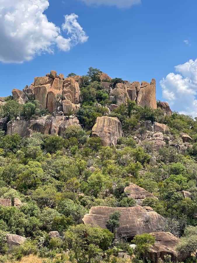 Matobo Hills Day Trip with Rhino Tracking - Practical preparation for the eight-hour outing