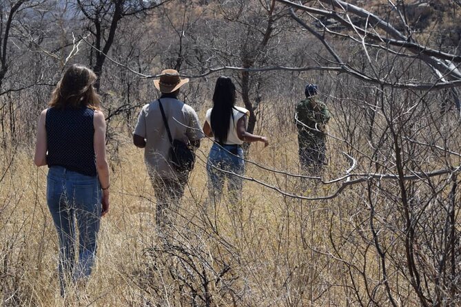 Matobo Rhino Encounter - Walking into Matobo’s rhino country