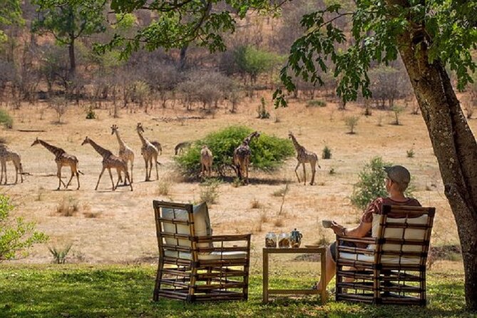Morning or Afternoon Game Drive In Victoria Falls - Why rhinos make this Victoria Falls drive worthwhile