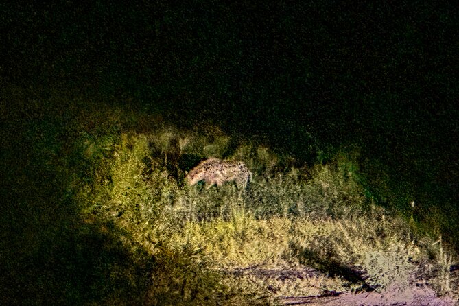 Night Game Drive in Zambezi National Park and Victoria Falls - Weather, clothing, and family considerations