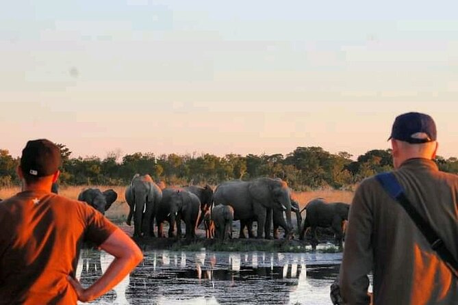Safari Game Drive in Zambezi National Park - Leaving Victoria Falls for the Zambezi bush