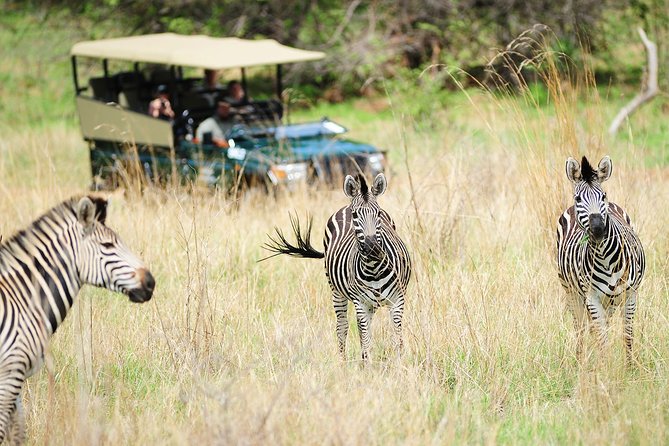 Safari Game Drive in Zambezi National Park with Hotel Pickup - Comparing the $100 price with the real cost