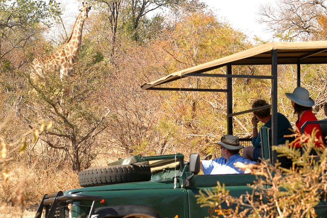 Safari Game Drive in Zambezi National Park with Hotel Pickup - Who will get the most from this game drive