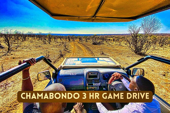 Safari in Victoria Falls and Zambezi National Park - Zambezi and Chamabondo: What the Setting Means