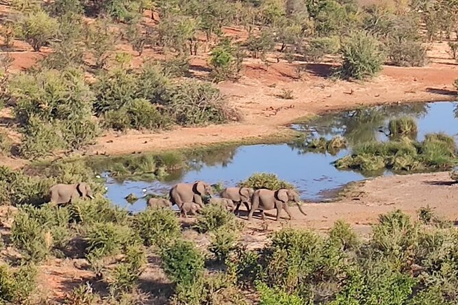 Safari in Victoria Falls and Zambezi National Park - A Break for Tea, Fruit, and Light Snacks