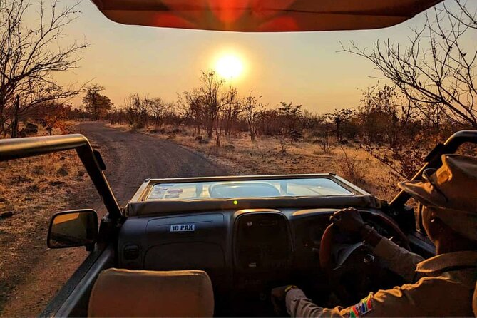 Safari in Victoria Falls and Zambezi National Park - Is $119 a Fair Price?