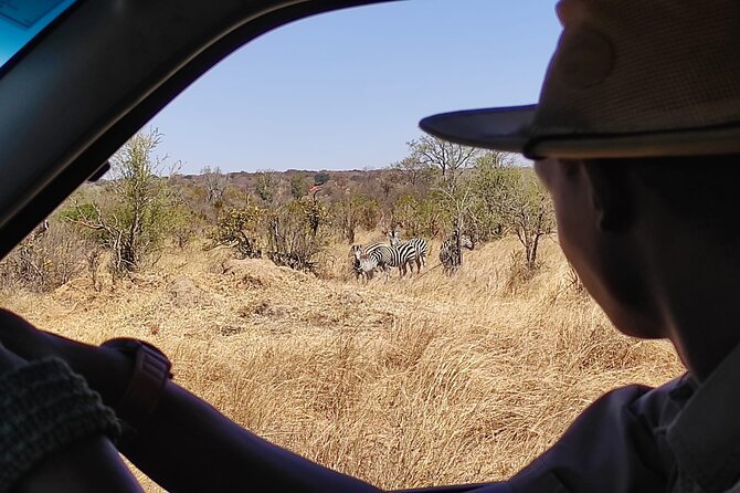 Safari in Victoria Falls and Zambezi National Park - Timing Your Drive Around Victoria Falls