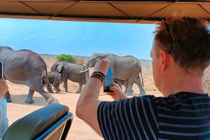 Safari in Victoria Falls and Zambezi National Park - Who Will Enjoy This Safari Most?