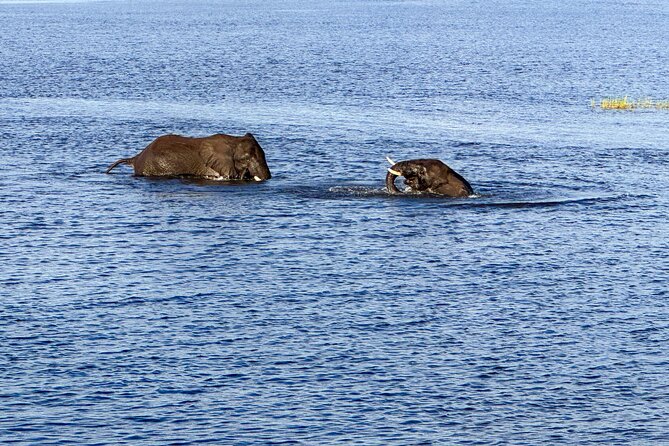 Shearwater River Song Luxury River Cruise - Who will enjoy this cruise most