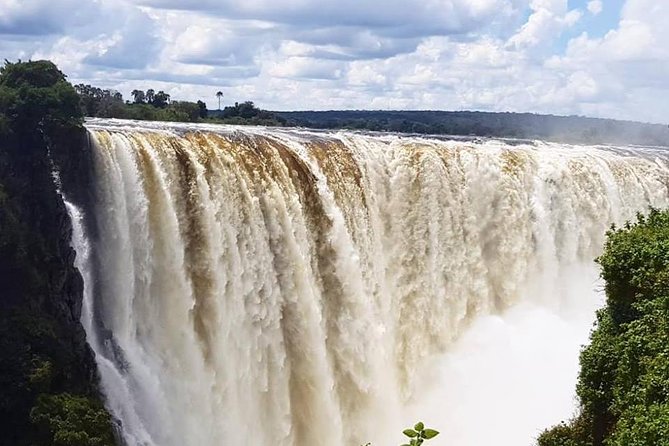 Small-Group Devil's Pool and Livingstone Island Tour - What the strongest parts of the experience are