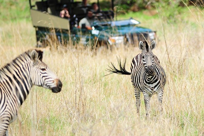Small Group: Zambezi National Park Guided Game Drive - What you may see in the unfenced park