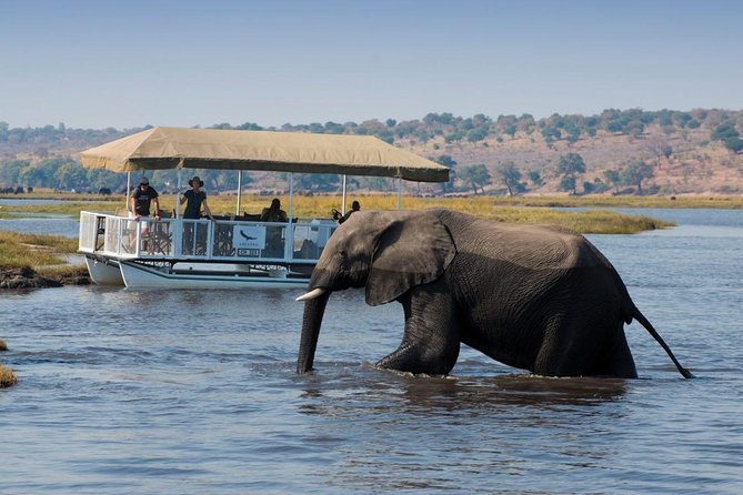 Standard Sunset Cruise - Why a Zambezi sunset cruise works well in Victoria Falls