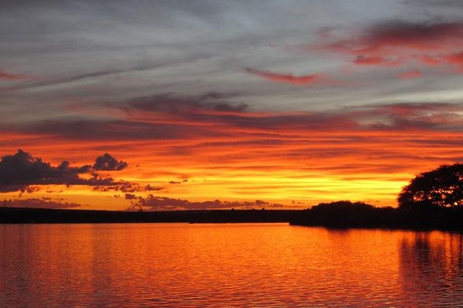 Standard Sunset Cruise - Birdwatching adds another layer