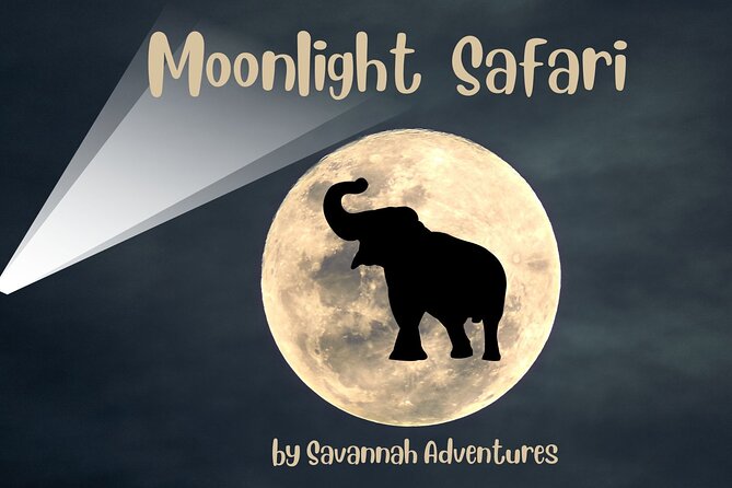 Stargazing and Moonlight Experience - Why a Victoria Falls night can feel so different